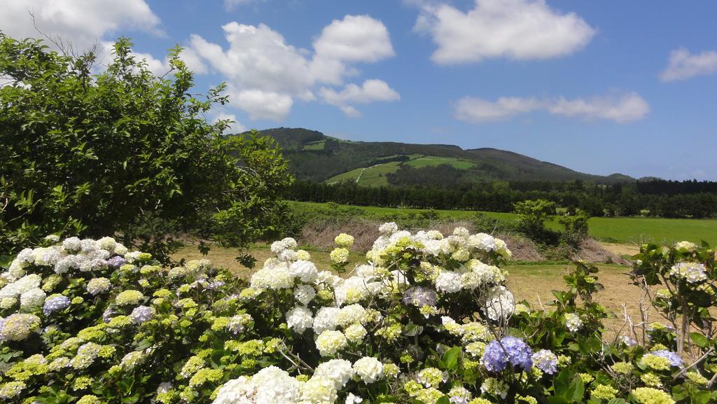 Villa Quinta Do Chico Feijao Lajes Zimmer foto